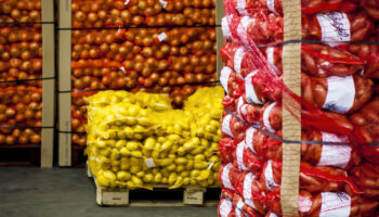 Paris veut augmenter à 100 jours son autonomie alimentaire en cas de catastrophe