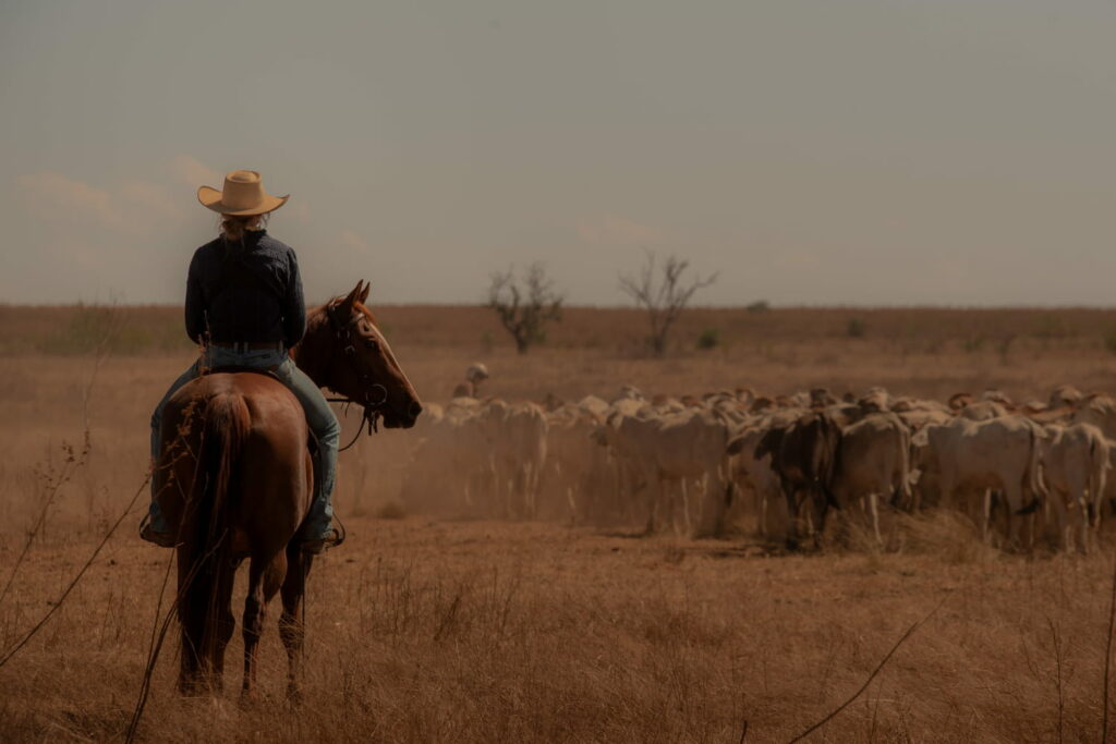 Tout le monde parle de cette nouvelle série australienne qui cartonne sur Netflix, elle se regarde en 6 heures