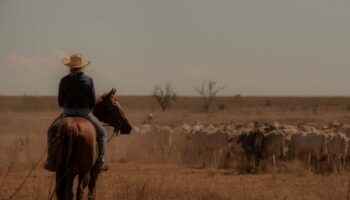 Tout le monde parle de cette nouvelle série australienne qui cartonne sur Netflix, elle se regarde en 6 heures