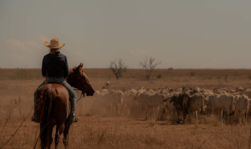 Tout le monde parle de cette nouvelle série australienne qui cartonne sur Netflix, elle se regarde en 6 heures