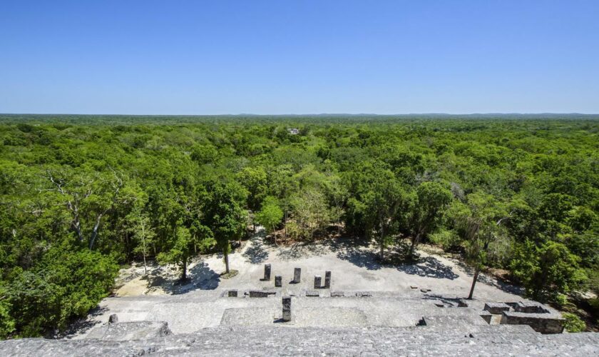 Archäologie: Maya-Siedlung im mexikanischen Dschungel entdeckt