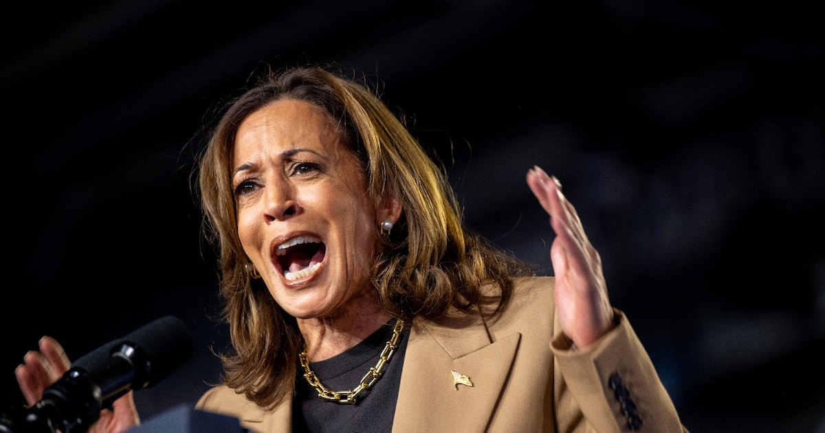 Kamala Harris lors d'un meeting à Chandler, en Arizona, le 10 octobre 2024