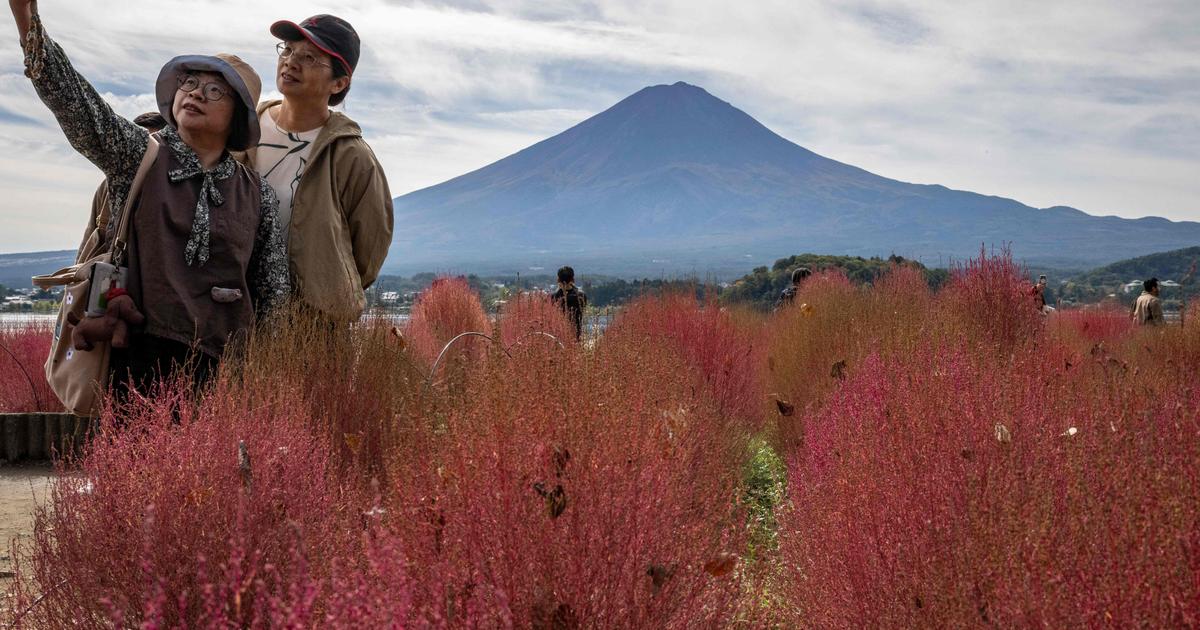 Mais où est donc passé le manteau de neige du mont Fuji ?