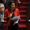 La députée Elsa Faucillon pose une question lors d'une séance de questions au gouvernement à l'Assemblée en novembre 2017