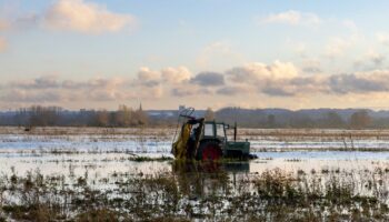 2024, une année de calamités pour l’agriculture, en première ligne du dérèglement climatique