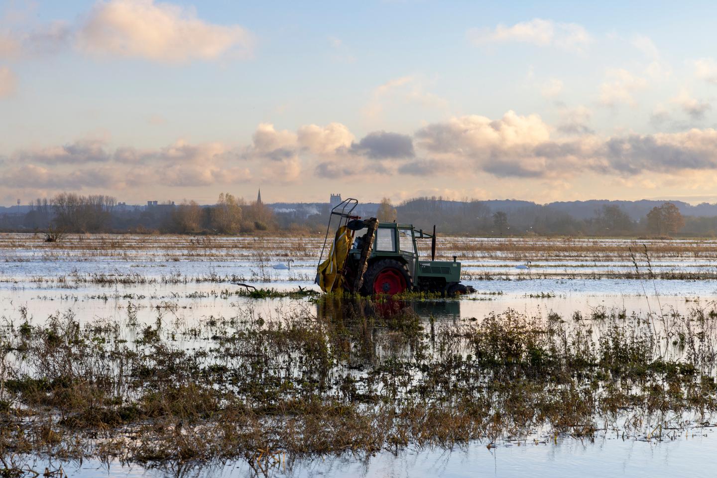 2024, une année de calamités pour l’agriculture, en première ligne du dérèglement climatique