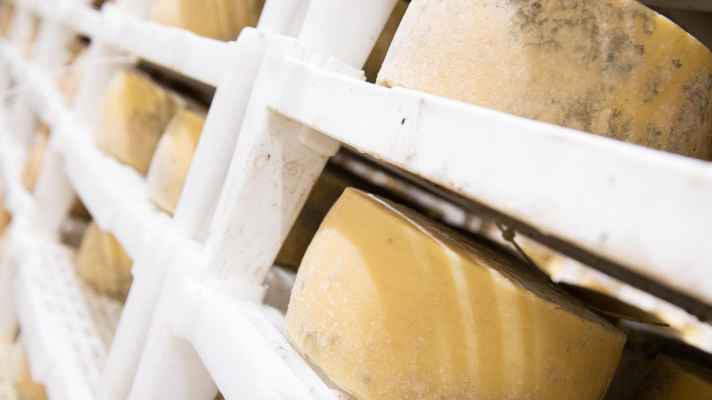 22 Tonnen Käse: Cheddar im Wert von 360.000 Euro gestohlen – eine Spur führt nach Russland