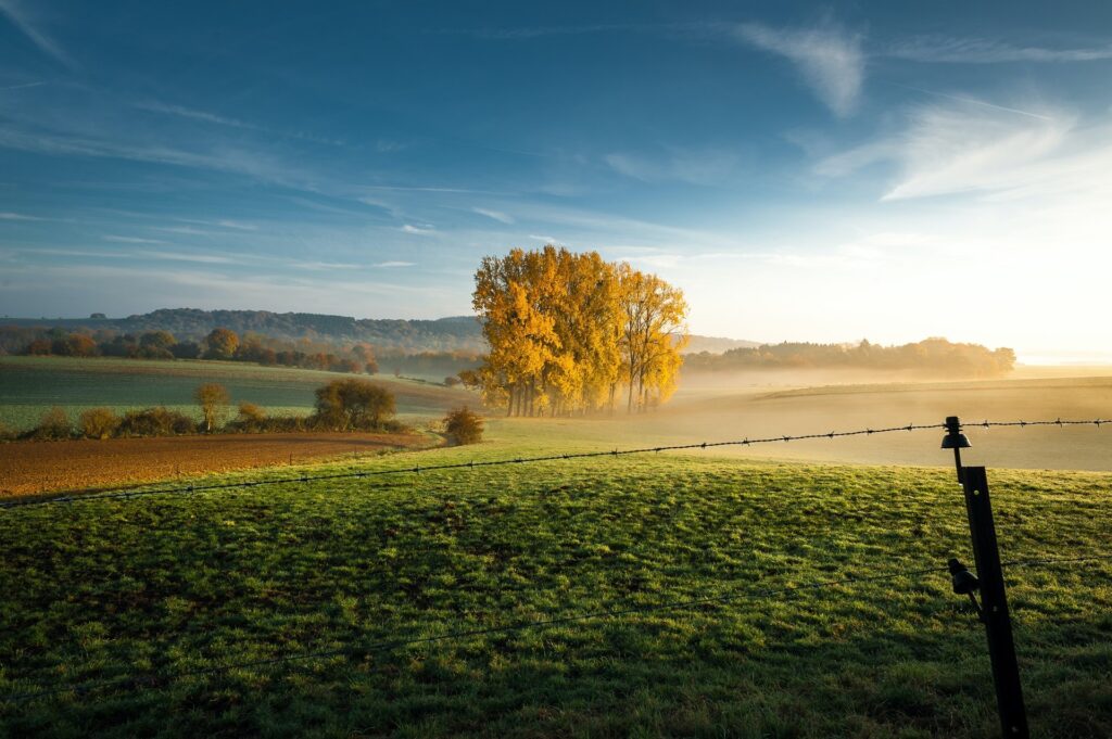 400 millions de dollars: Le Luxembourg et 11 autres pays mobilisés pour la biodiversité