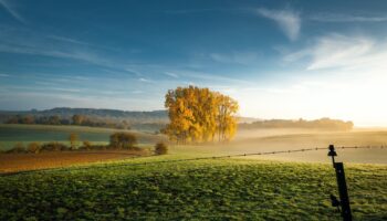 400 millions de dollars: Le Luxembourg et 11 autres pays mobilisés pour la biodiversité