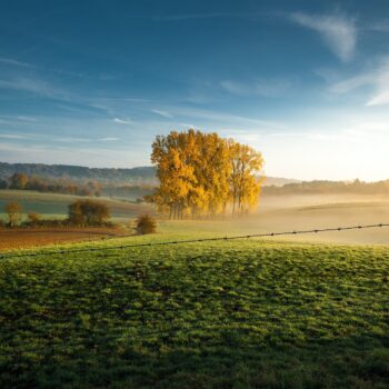 400 millions de dollars: Le Luxembourg et 11 autres pays mobilisés pour la biodiversité