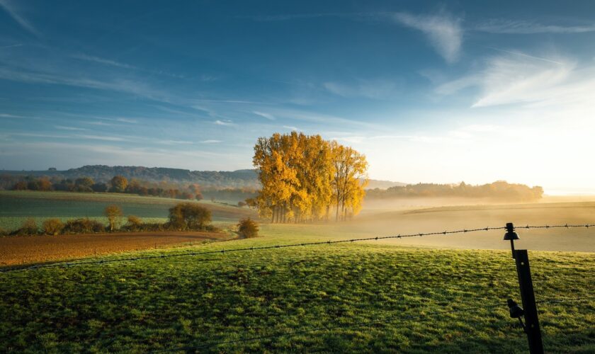 400 millions de dollars: Le Luxembourg et 11 autres pays mobilisés pour la biodiversité