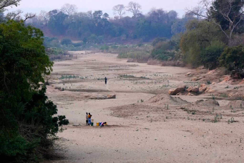 « A l’approche de la COP29, il est indispensable de réformer l’architecture financière mondiale »