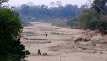 « A l’approche de la COP29, il est indispensable de réformer l’architecture financière mondiale »