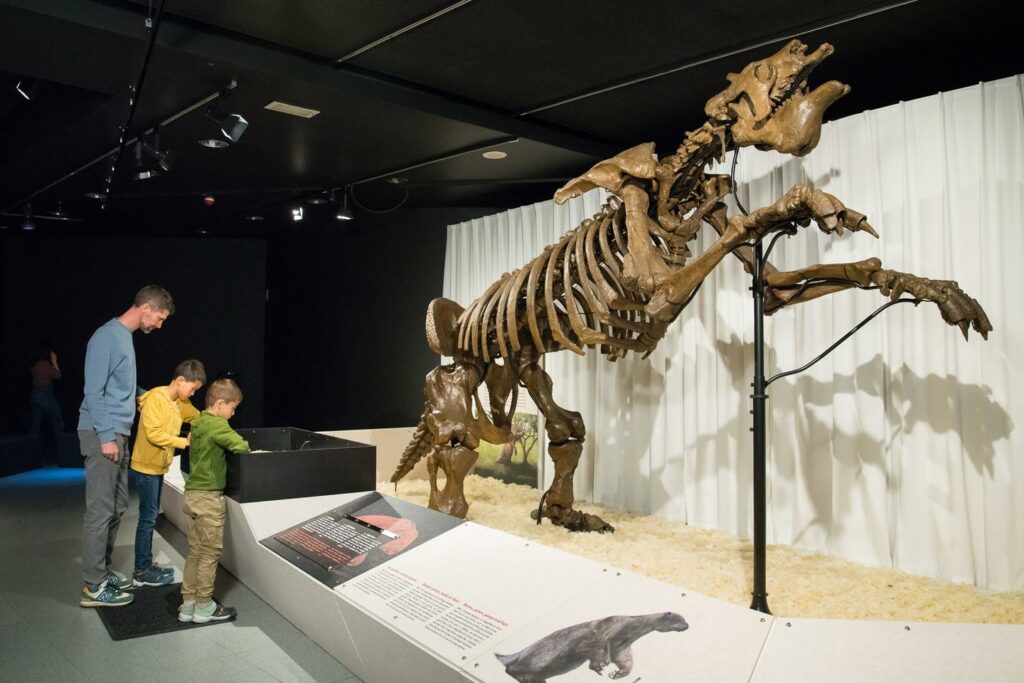 A l’exposition « Géants », à Toulouse, des animaux gigantesques reprennent corps