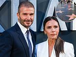 ALISON BOSHOFF: David Beckham set to get Hollywood Walk of Fame gold star