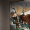 Acaba el Año Sorolla con una cumbre de obras maestras (y un descubrimiento)