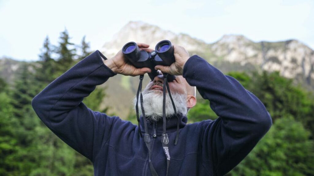 « Aller par-delà tous ces clivages » : quand bénévoles du WWF et éleveurs guettent les loups en Haute-Savoie