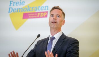 Ampelkoalition: Christian Dürr verteidigt FDP-Wirtschaftstreffen neben Industriegipfel