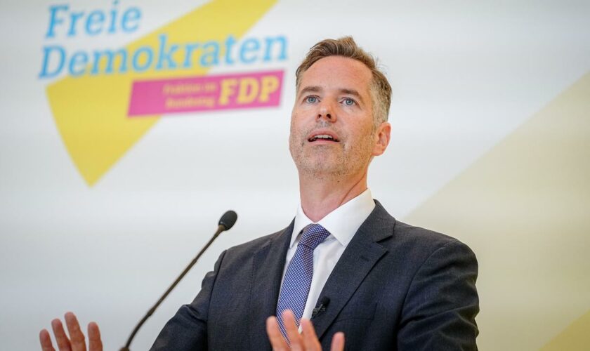 Ampelkoalition: Christian Dürr verteidigt FDP-Wirtschaftstreffen neben Industriegipfel