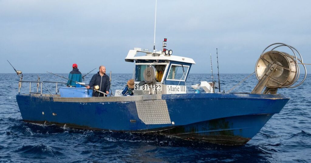 Après le succès des quotas, une pêche «responsable» à Sète pour maintenir les populations de thon rouge en Méditerranée