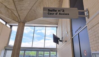 Assises de l’Essonne : le sourire volé d’Irène, défigurée à coups de couteau par son ex qui la harcelait