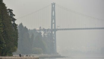 Au Canada, un parc mythique amputé d’arbres multiséculaires