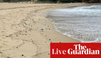 Australia news live: Sydney beach closed after mysterious black balls wash ashore; Penny Wong launches humanitarian policy