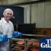 Authorities need to act over ‘high-end food fraud’, says scammed salmon firm