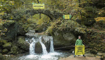 Avant la Cop16: "Détruire la nature, c'est détruire sa maison", lance Greenpeace Luxembourg