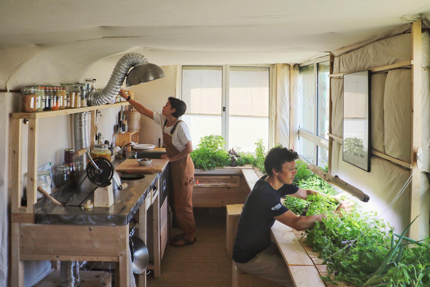 Bienvenue dans l’« appartement du futur » 100 % low-tech, avec toilettes vivantes et grillons