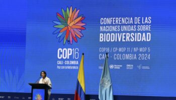 Biodiversité: La COP16 débute, pour passer de la parole aux actes