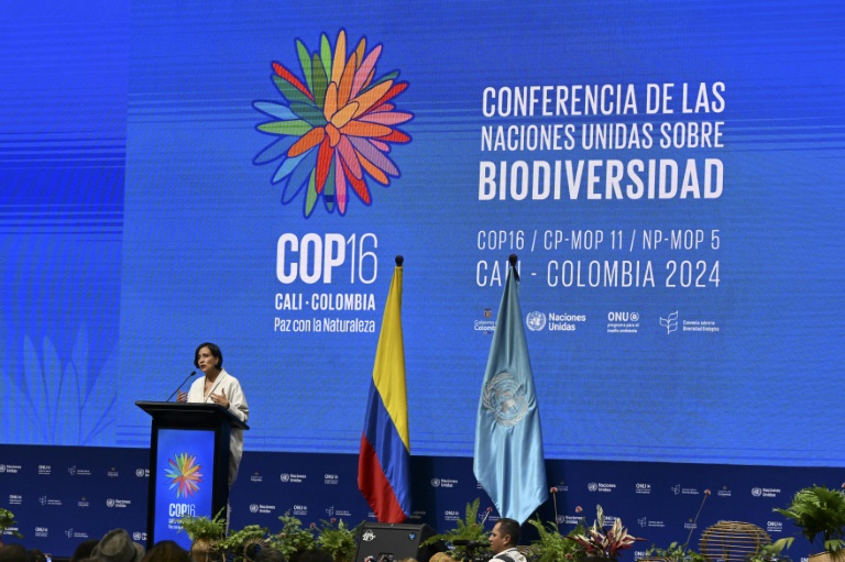 Biodiversité: La COP16 débute, pour passer de la parole aux actes