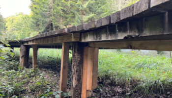 Bois moisi ou cassé: L'état des passerelles du Mullerthal fait réagir