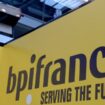 Bpifrance, cette très stratégique banque d'investissement que l’État sollicite pour veiller sur l’avenir du Doliprane