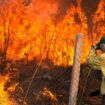 Brazil faces worst fires in 14 years