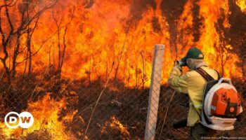 Brazil faces worst fires in 14 years