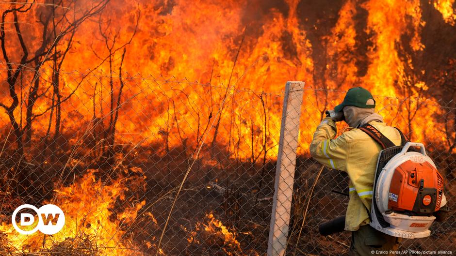 Brazil faces worst fires in 14 years