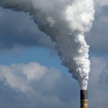 COP29 : « Un mécanisme de garantie multisouverain est nécessaire »