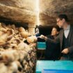 Ces restaurateurs et chercheurs au chevet des morts des catacombes de Paris