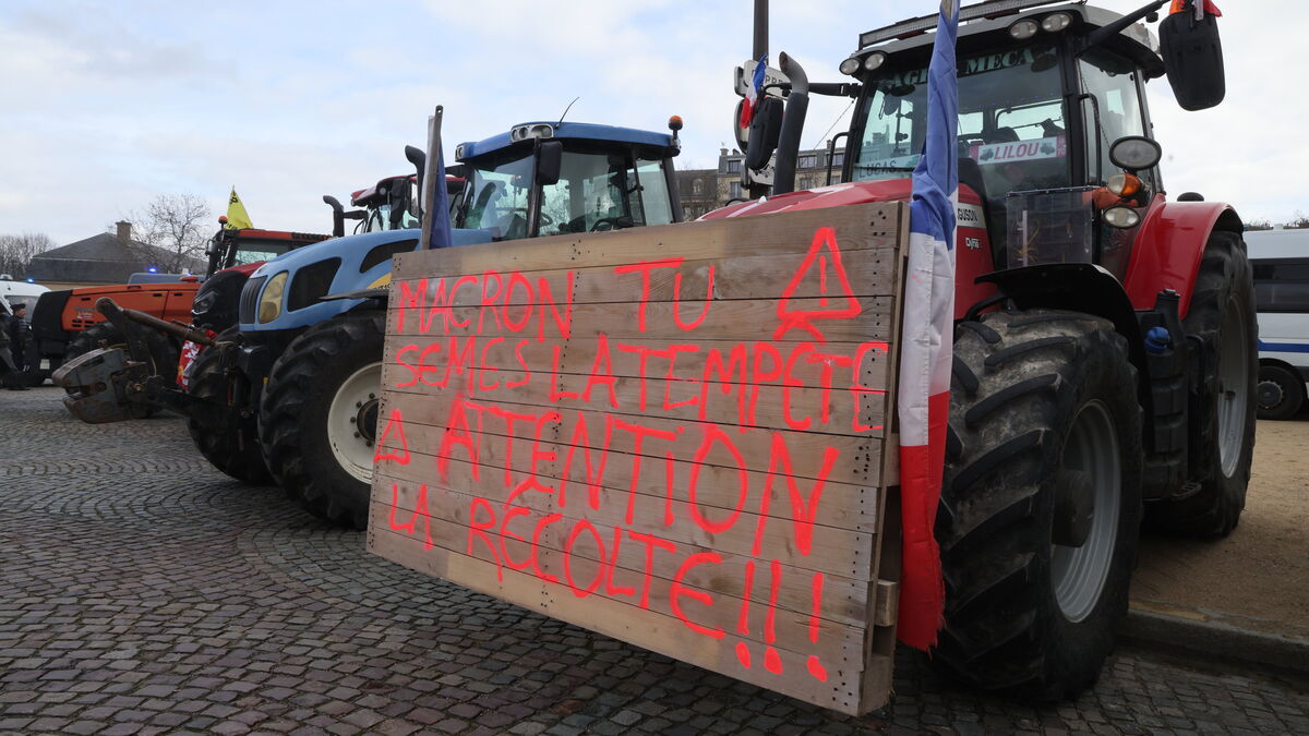 Colère des agriculteurs : les syndicats majoritaires appellent à « une reprise des actions à partir du 15 novembre »