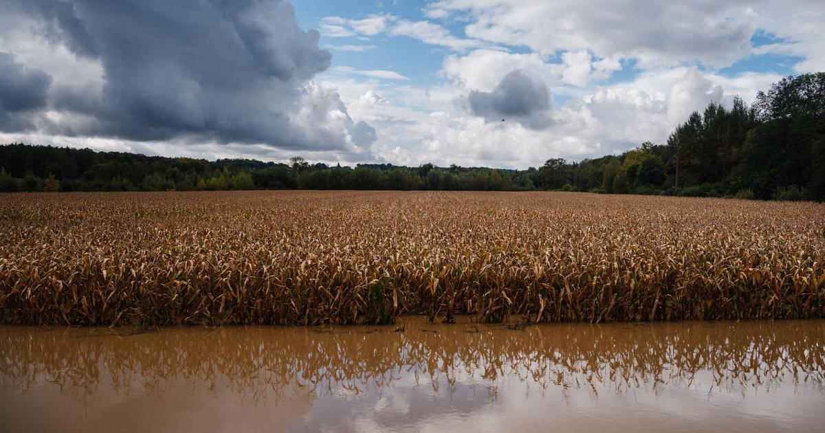 Comment Paris veut créer des «greniers» de nourriture pour faire face aux catastrophes du futur