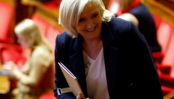 Comment le RN exploite-t-il sa position stratégique à l’Assemblée nationale ? « Une personne décide, seule, de la position à tenir : Marine Le Pen »