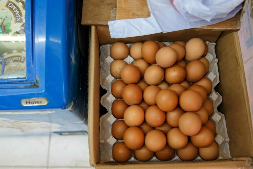 Contamination aux salmonelles : rappel massif d’œufs dans la France entière