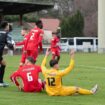 Coupe de France : une reprise avec les amateurs mais pas de surprises