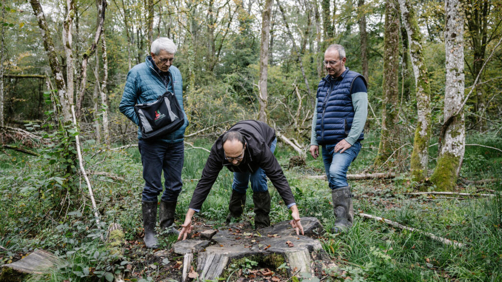 Dans la Meuse, des voleurs ont pillé et massacré leur forêt : « Un couteau dans le cœur »