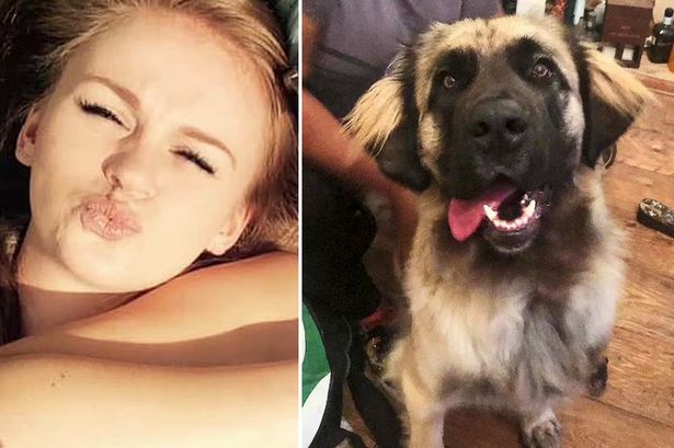 Dog walker mauled to death in park after she 'lost control' of the pack of eight animals