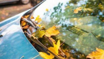 Drivers could be hit with £1,000 fine for breaking little-known autumn road rule