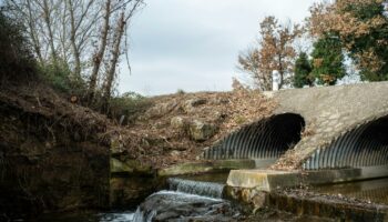 Eau potable : des dizaines de métabolites de pesticides échappent à toute surveillance