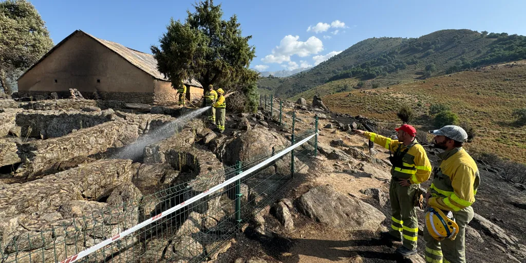 El Consejo de Ministros declara 26 territorios de Castilla y León como zonas afectadas por emergencias de protección