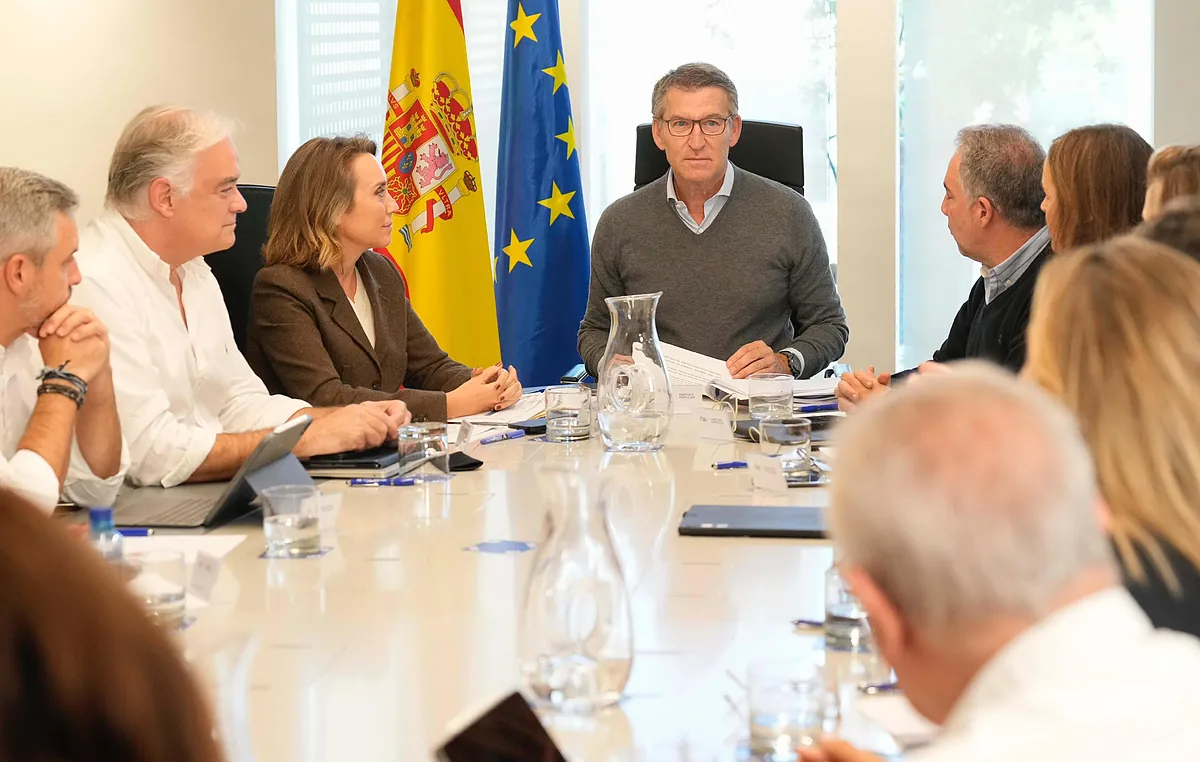 El PP se querella en la Audiencia Nacional contra el PSOE por financiación ilegal, cohecho y tráfico de influencias en el 'caso Koldo'